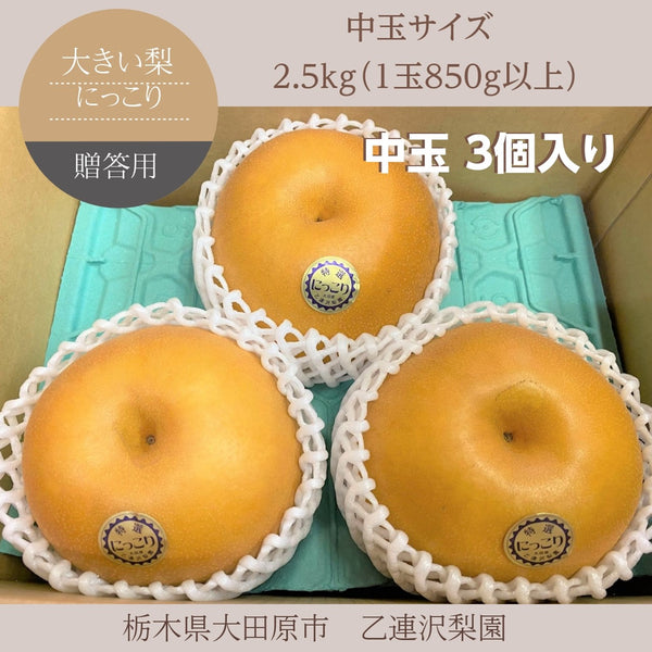 梨 【乙連沢梨園】大きい にっこり 中サイズ 2.5kg (800g×3個) 贈答用 栃木県 《10/中旬～10下旬より出荷》 –  にこやか産直アーケード