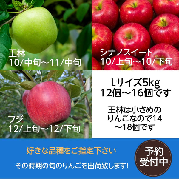 りんご　5ｋｇ　家庭用・訳あり・B級品　13～18玉（王林15～20玉）