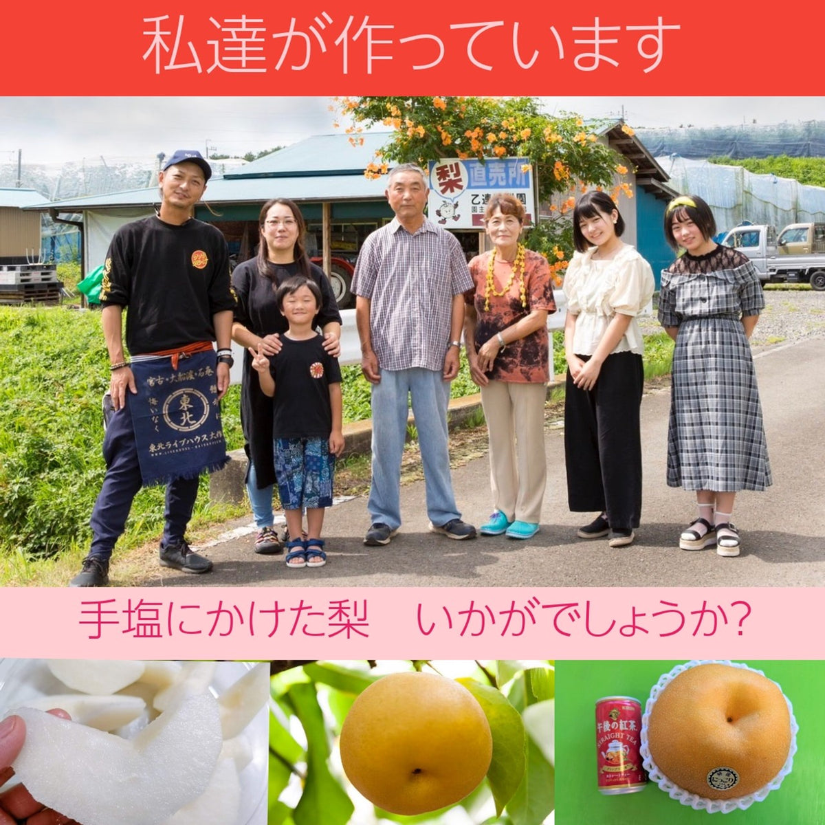 梨 【 乙連沢梨園 】大きい にっこり 1.8kg (900g×2個) 贈答用
