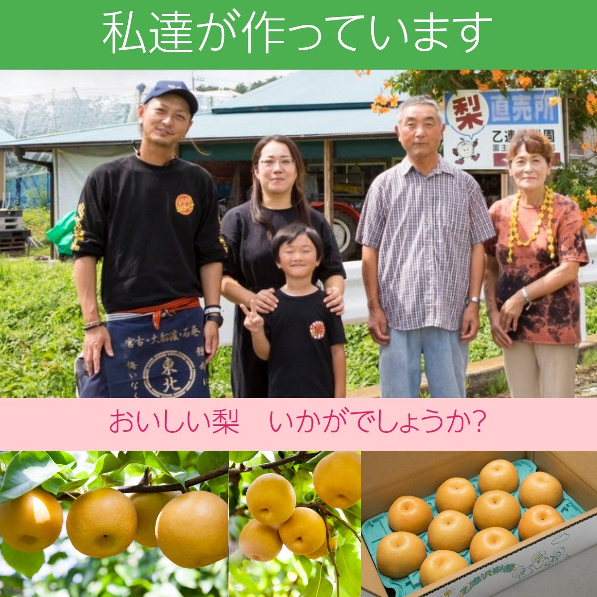 梨 【 乙連沢梨園 】 3kg 5～7個 贈答用 プレゼント 栃木県 《9/上旬