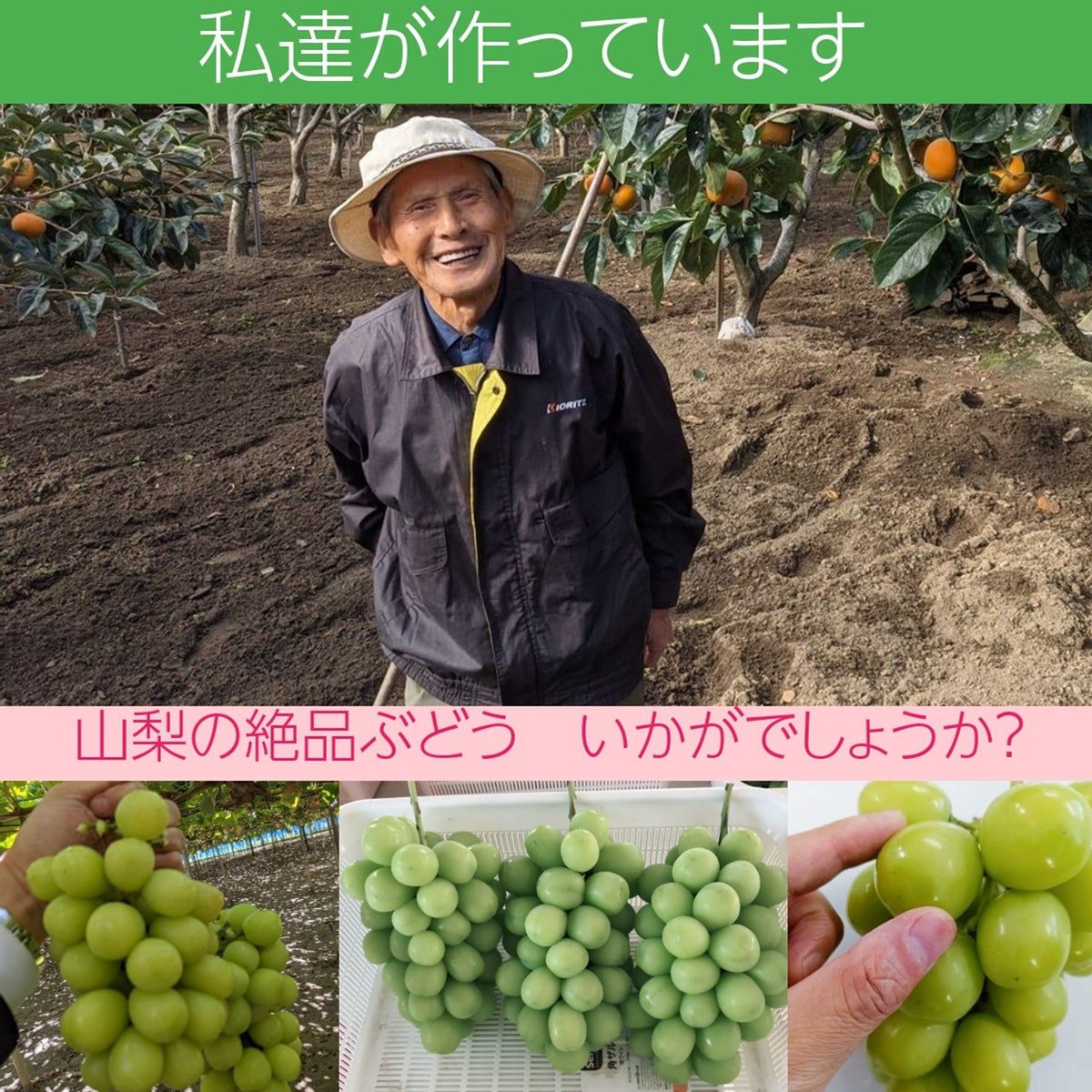 フェイクフルーツ 洋なし　ぶどう　バラ売りOK◎ 大容量セット　マスカット 佐藤果樹園】 シャインマスカット1.4kg（350g×4パック) 種なし
