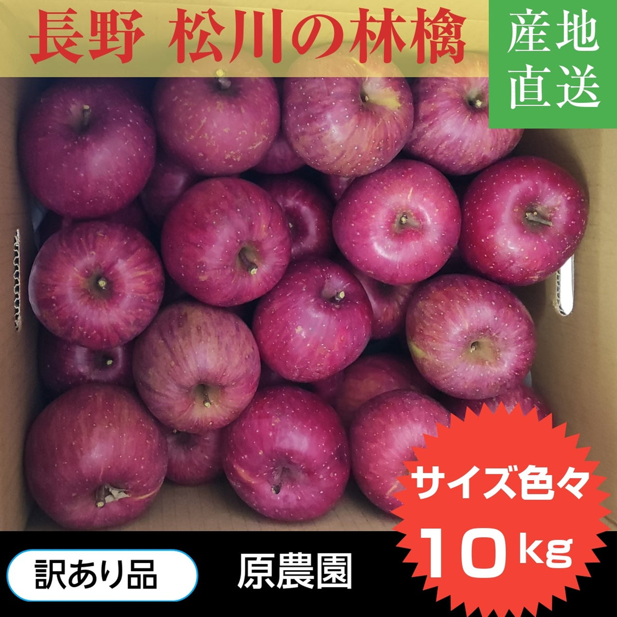 りんご 【原農園】 リンゴ サンふじ 訳あり 家庭用 10kg 長野県 松川町 《12/上旬～12/中旬より出荷》 – にこやか産直アーケード