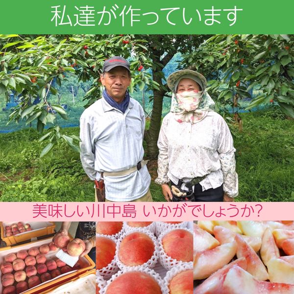 n 99.福島県産　特大硬め桃　5kg 贈答用可 n 99.福島県産 特大硬め桃 5kg 贈答用可