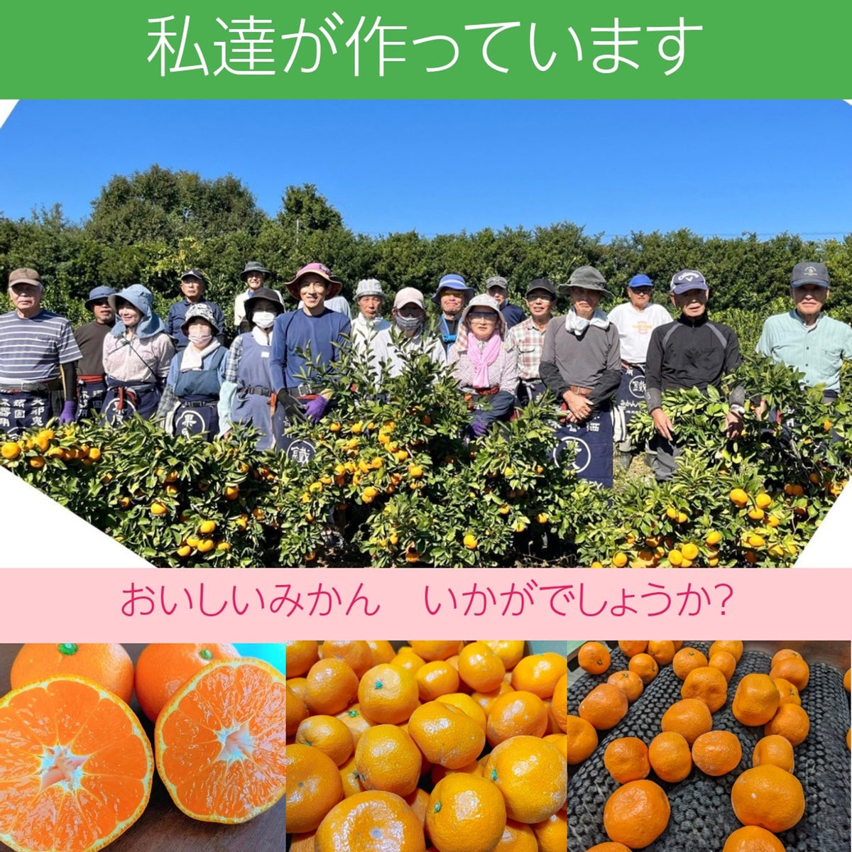 みかん 【みかん屋かみん】4kg サイズ不揃い 家庭用 静岡県浜松市 《11