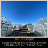 【小野崎農園】とちあいか　大玉Aサイズ（280g 10～13粒)×4パック 　栃木県