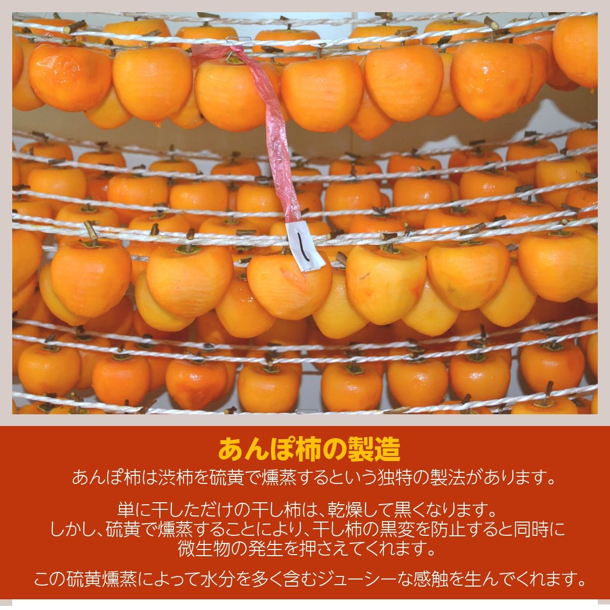 s_e661fbb4-a9ef-48bd-a897-