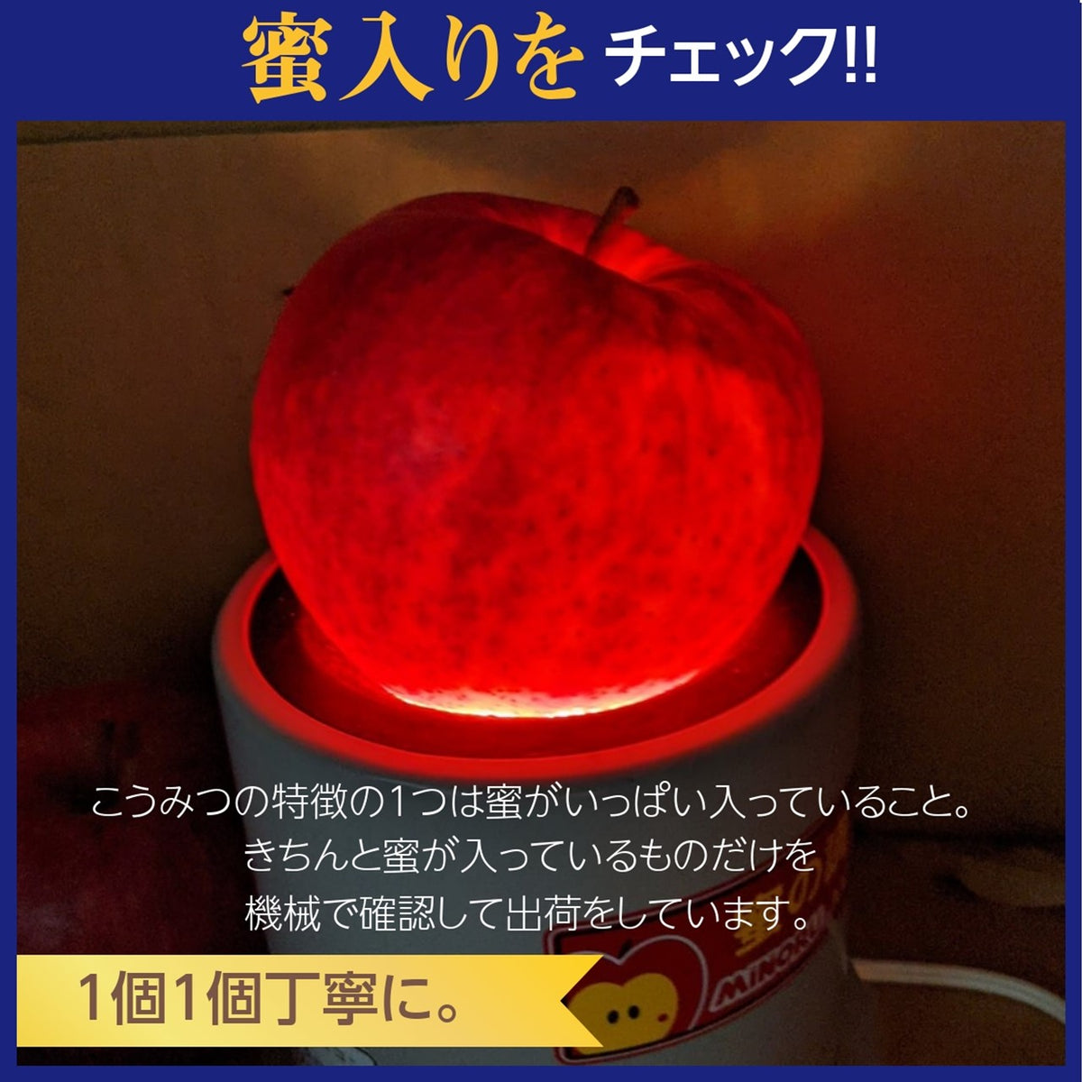 りんご 【ニジイロ果樹園】蜜入 こうみつ 3kg 8～10個 山形県天童市