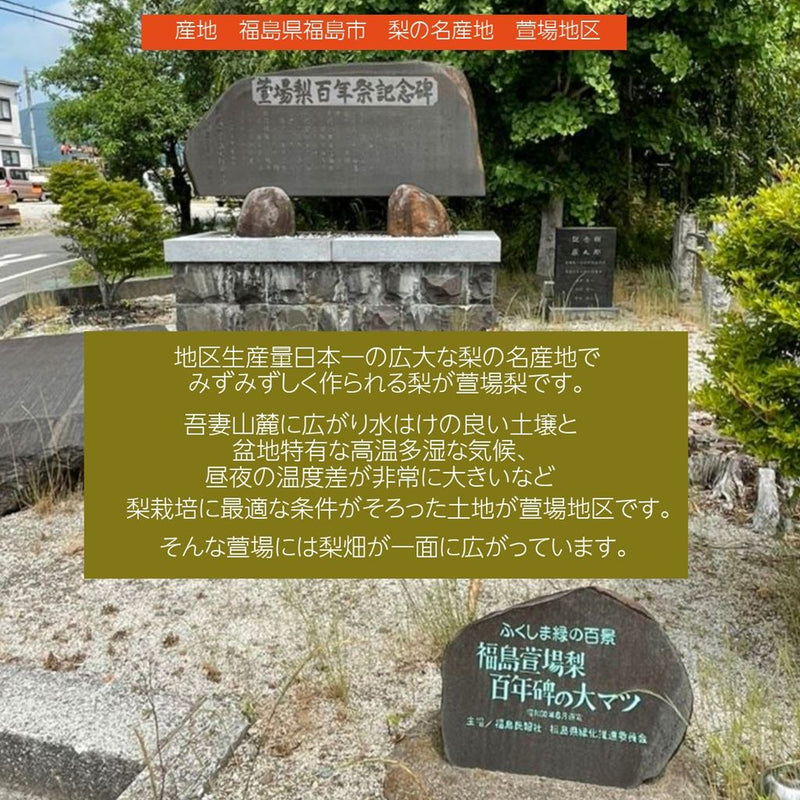 梨 【グリーンファーム】 萱場梨 10kg　Lサイズ以上　24～28玉 贈答用 福島県 福島市 和梨 《8月下旬～9月上旬より出荷》