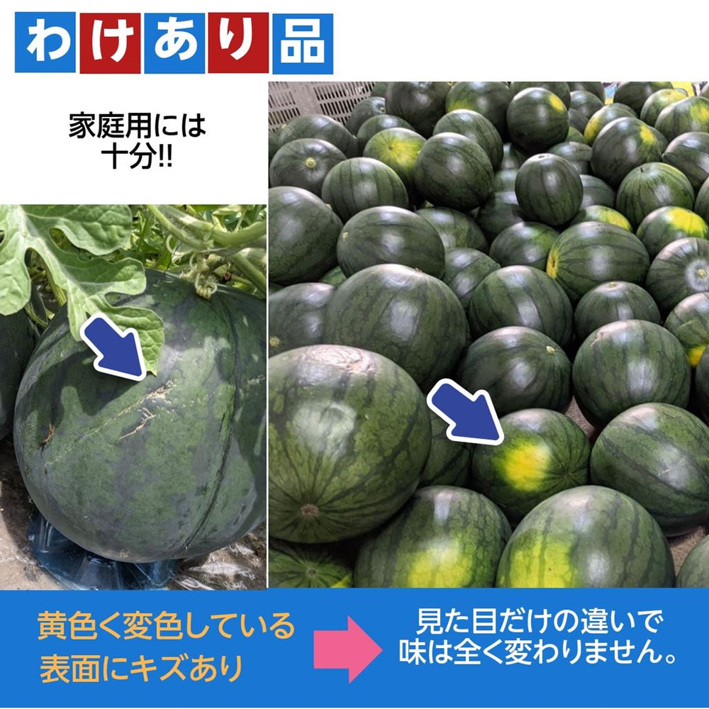 s_ec17ea6a-a50f-405e-b953-