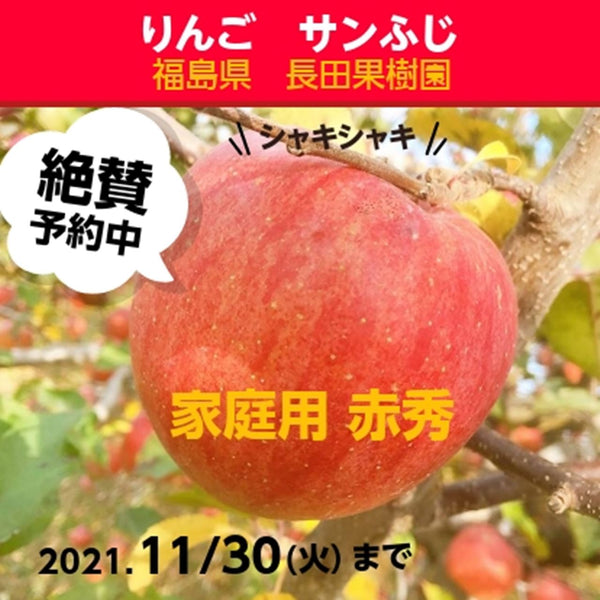 【長田果樹園】りんご サンふじ　約10kg 　小玉40個 　赤秀　家庭用　福島県石川町