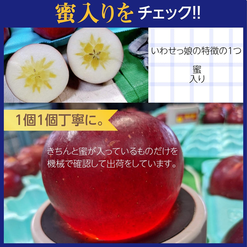 【ふんどのりんごや】りんご　いわせっ娘　5kg 大玉16個 　秀　福島県須賀川