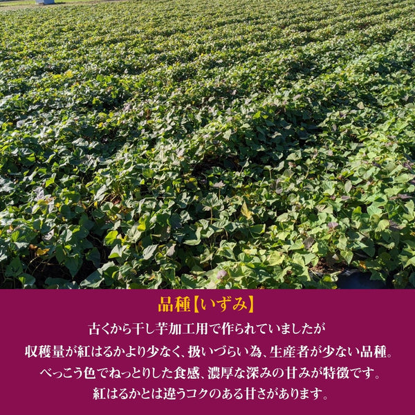 干し芋 【住谷公商店】 吟製 干し芋いも おもてなし箱(紅はるか20ｇ×3いずみ20ｇ×２)×5箱 茨城県